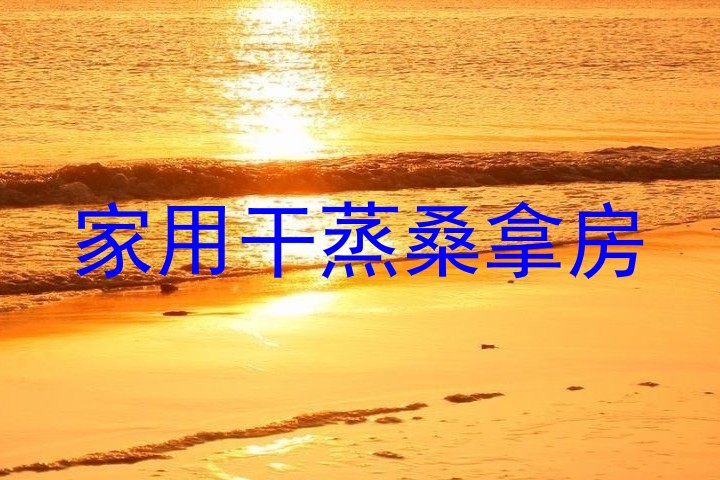 家用干蒸桑拿房