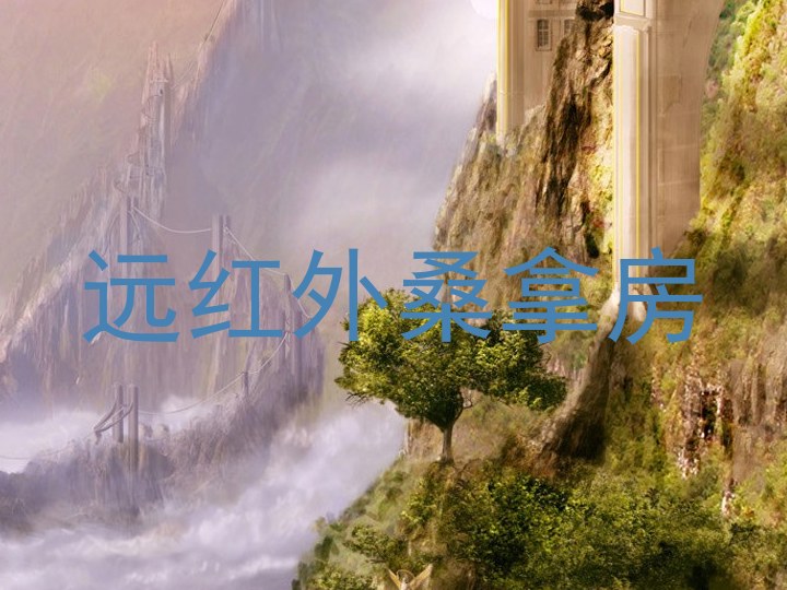 远红外桑拿房