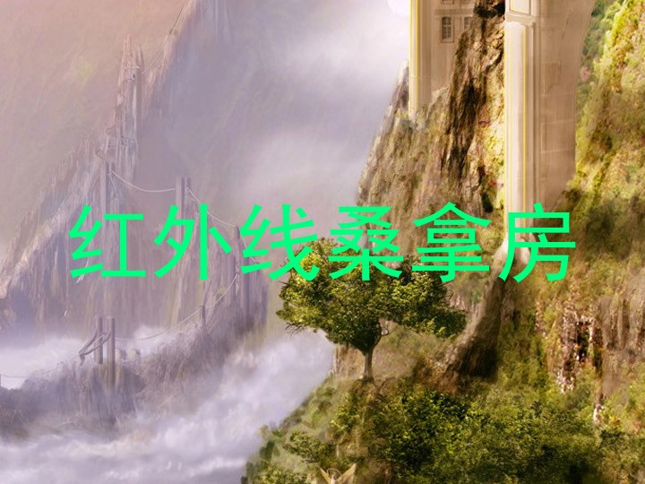 红外线桑拿房