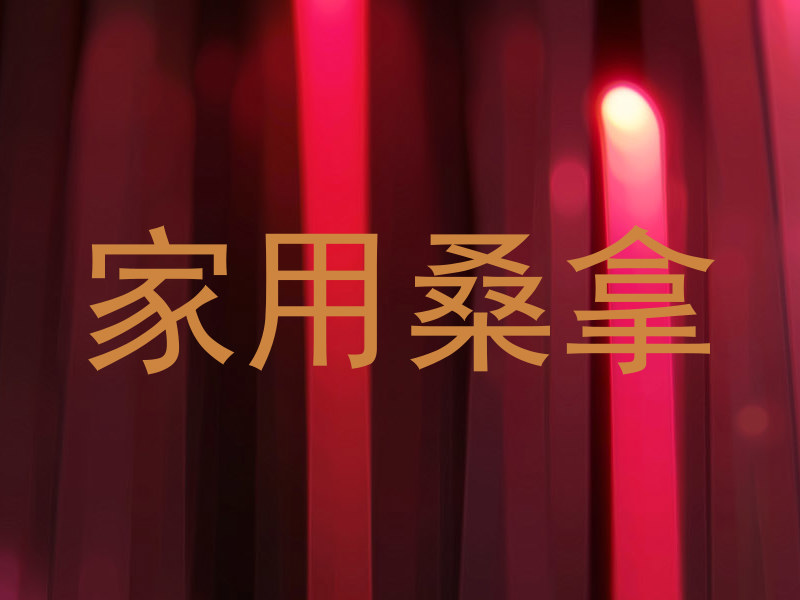 家用桑拿