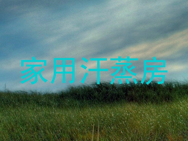 家用汗蒸房