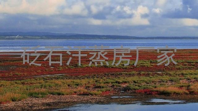 砭石汗蒸房厂家