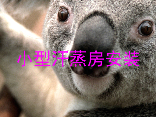小型汗蒸房安装