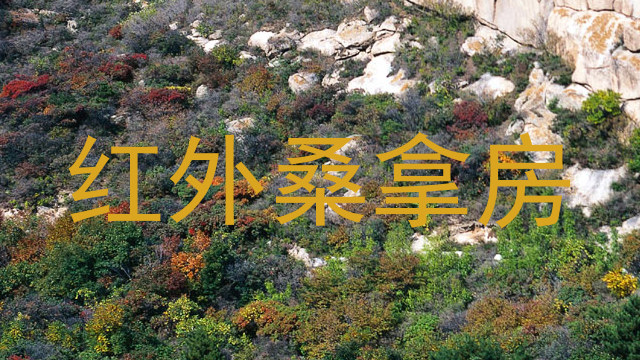 红外桑拿房