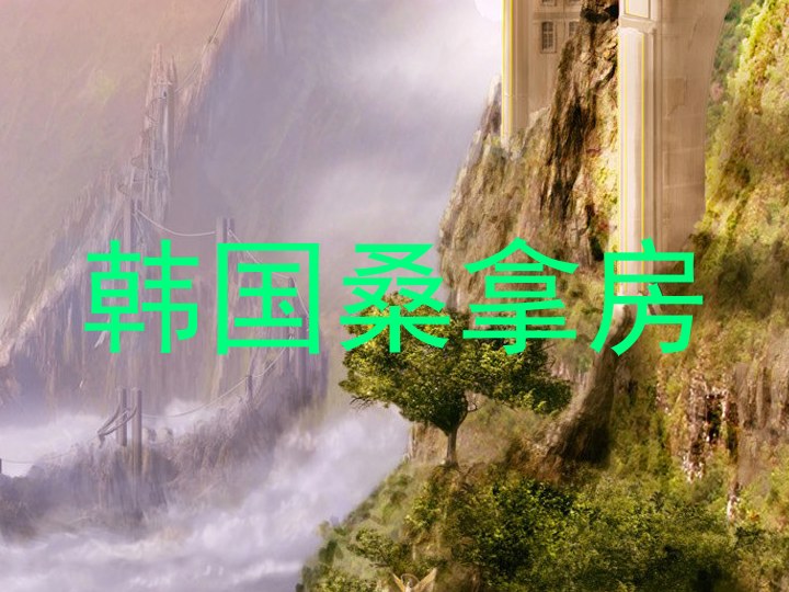 韩国桑拿房