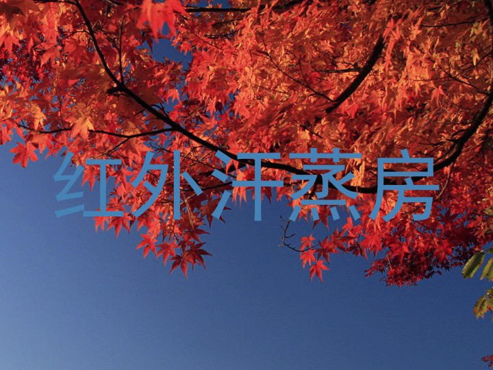红外汗蒸房