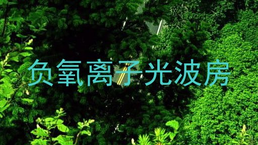 负氧离子光波房