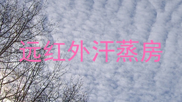 远红外汗蒸房