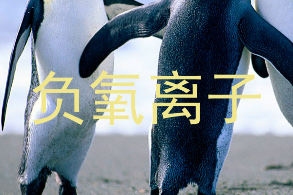 负氧离子