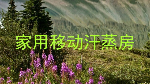 家用移动汗蒸房