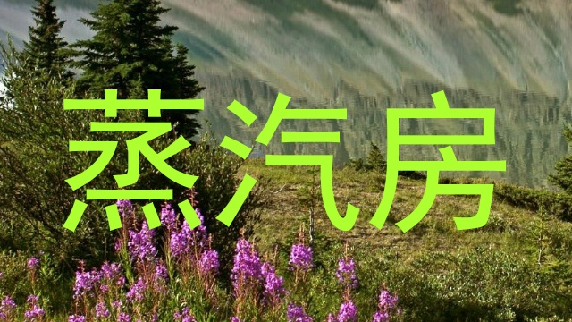蒸汽房