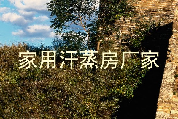 家用汗蒸房厂家