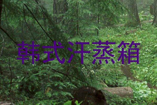 韩式汗蒸箱