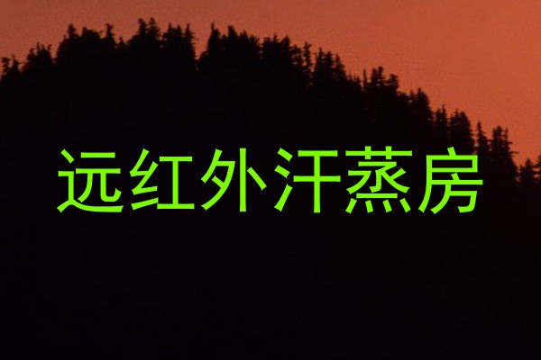 远红外汗蒸房