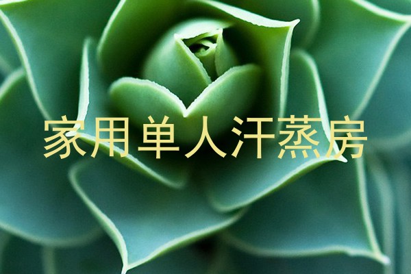 家用单人汗蒸房