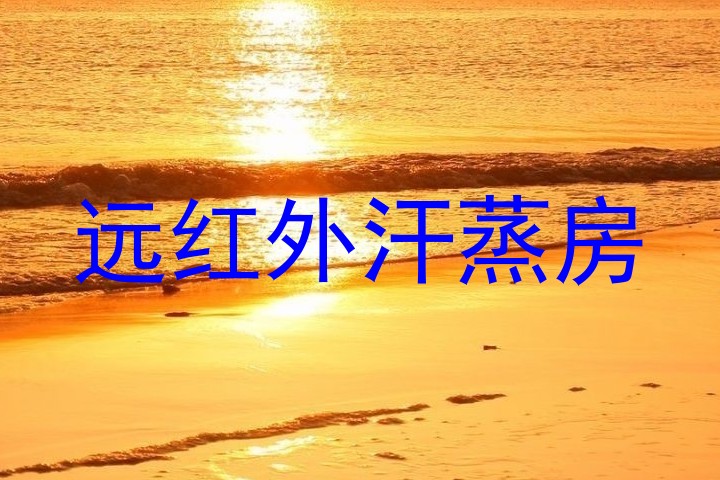 远红外汗蒸房