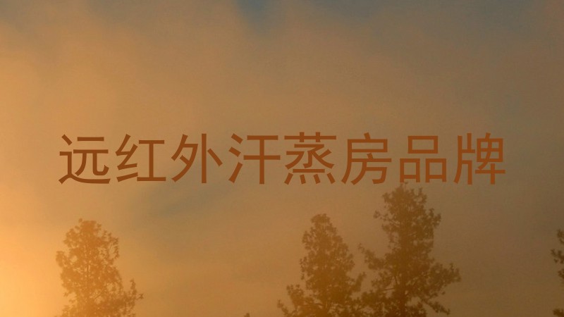 远红外汗蒸房品牌