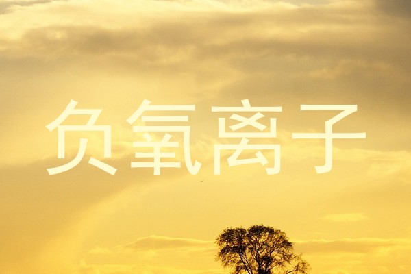 负氧离子