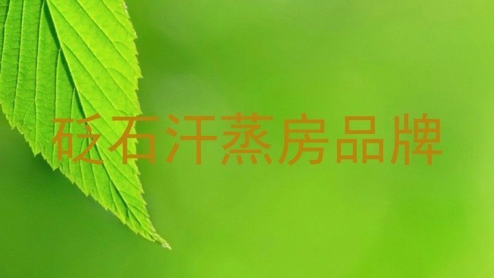 砭石汗蒸房品牌