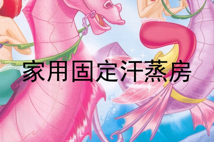 家用固定汗蒸房