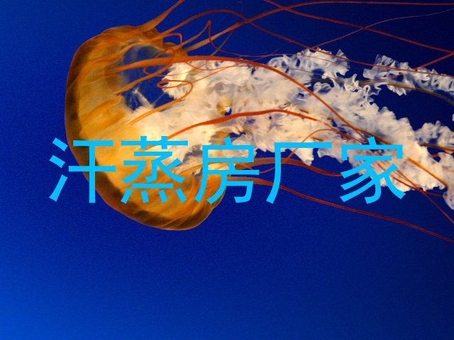 汗蒸房厂家