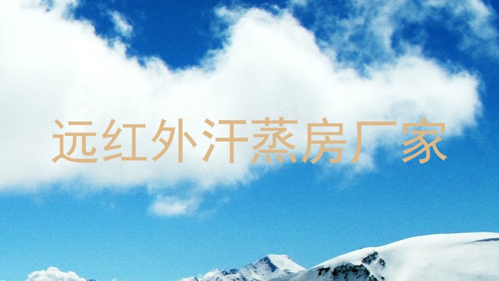 远红外汗蒸房厂家