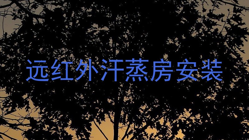 远红外汗蒸房安装