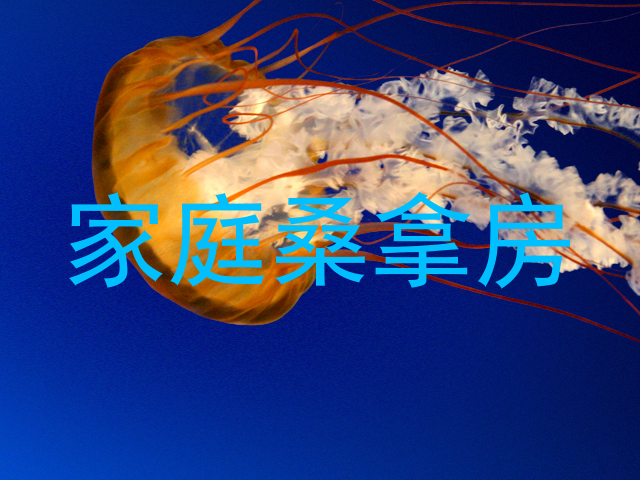 家庭桑拿房