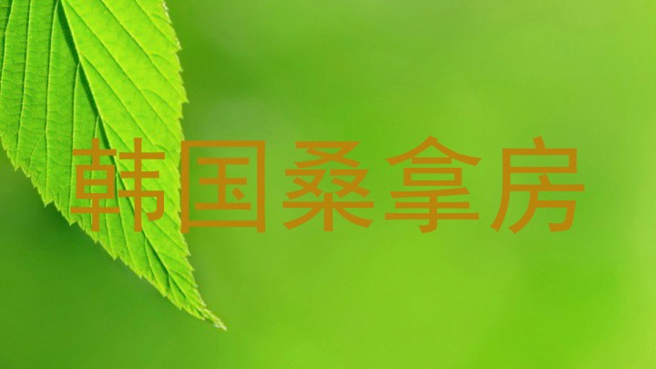 韩国桑拿房