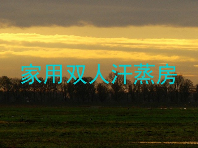 家用双人汗蒸房
