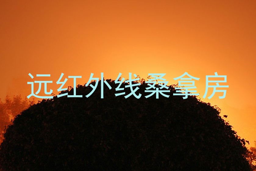 远红外线桑拿房
