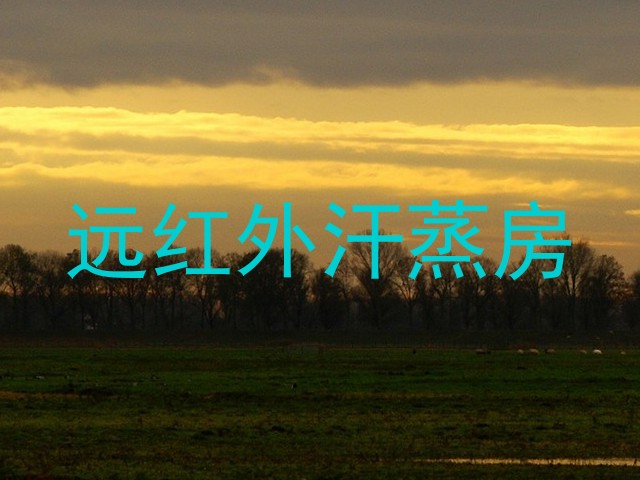 远红外汗蒸房