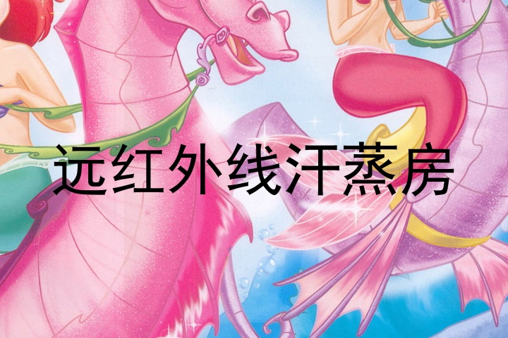 远红外线汗蒸房