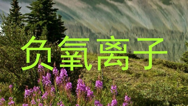 负氧离子