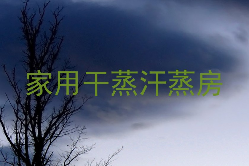 家用干蒸汗蒸房
