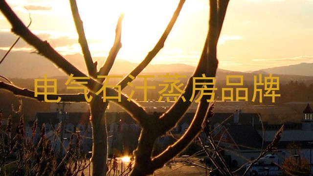 电气石汗蒸房品牌