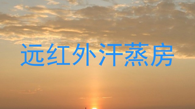 远红外汗蒸房