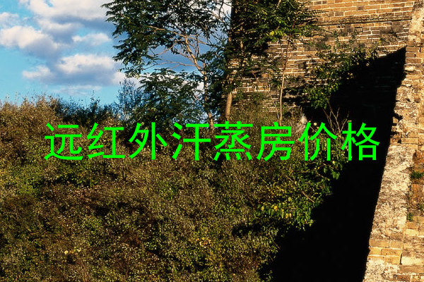 远红外汗蒸房价格
