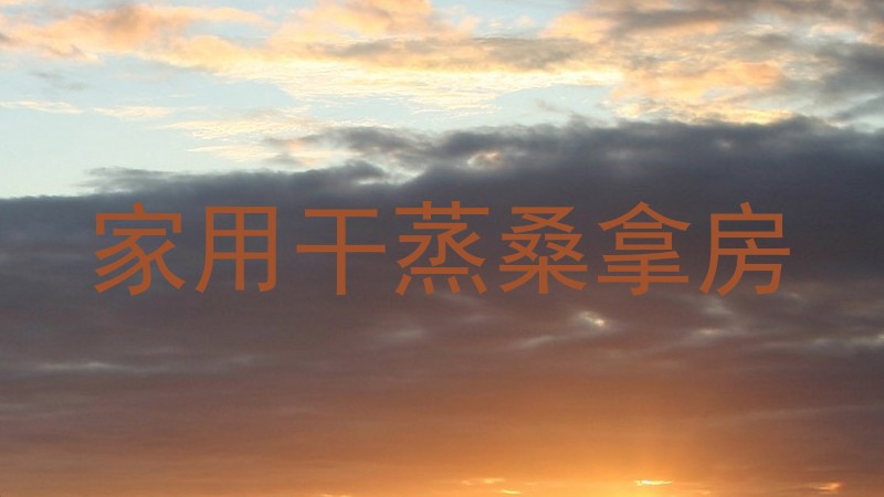 家用干蒸桑拿房