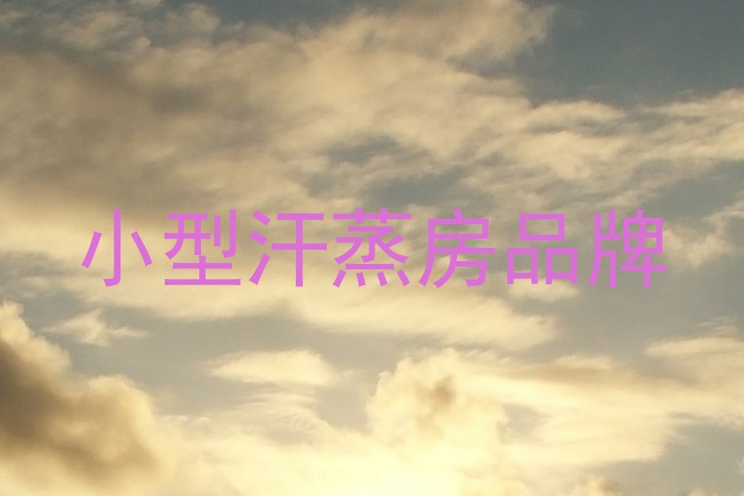 小型汗蒸房品牌