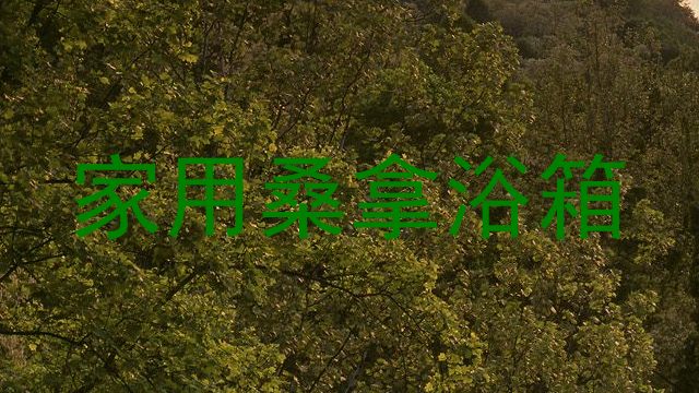 家用桑拿浴箱