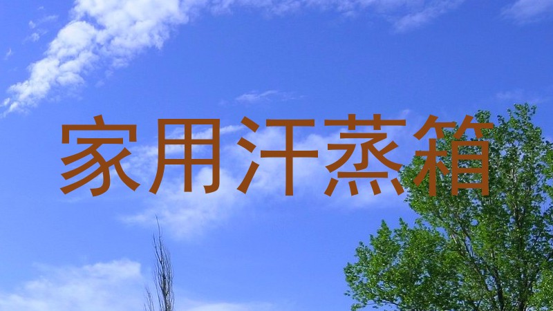 家用汗蒸箱