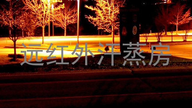远红外汗蒸房