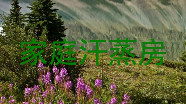 家庭汗蒸房