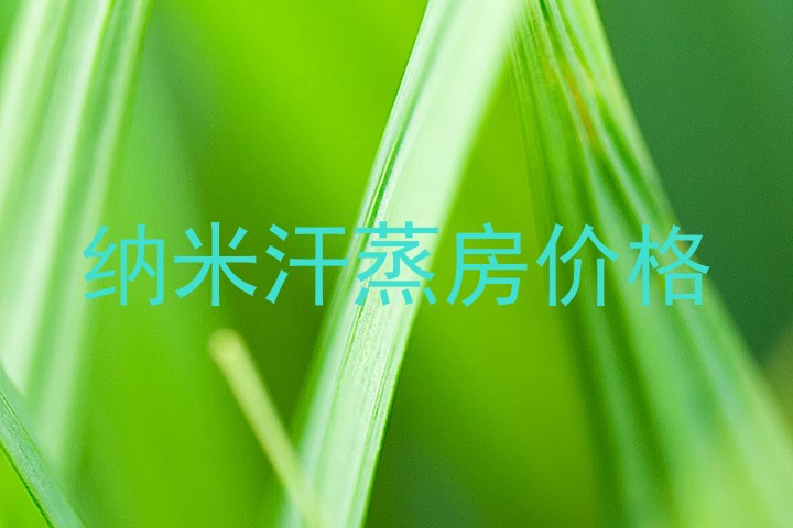 纳米汗蒸房价格