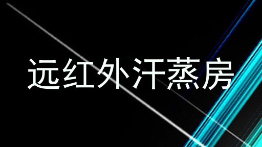 远红外汗蒸房