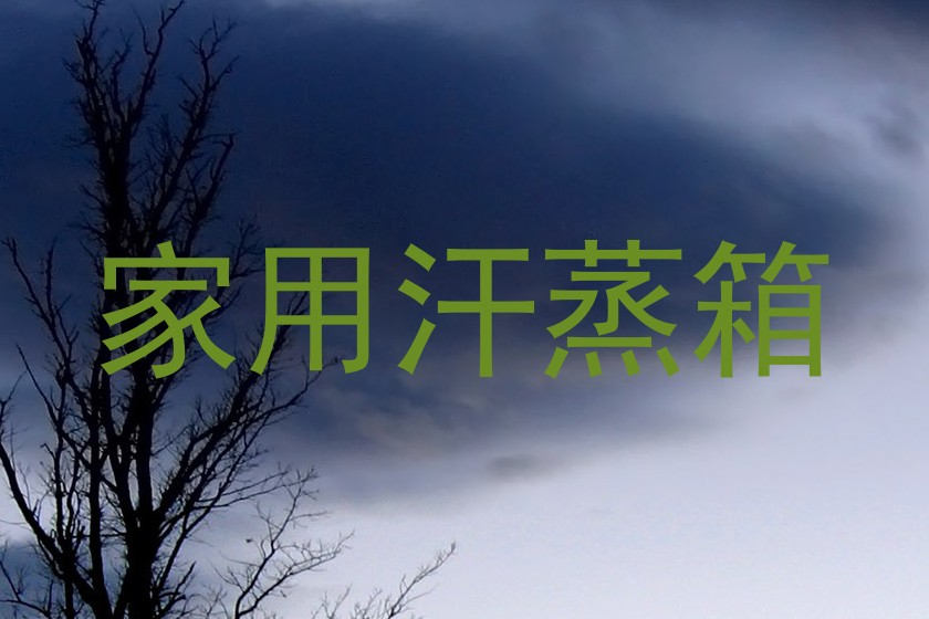 家用汗蒸箱