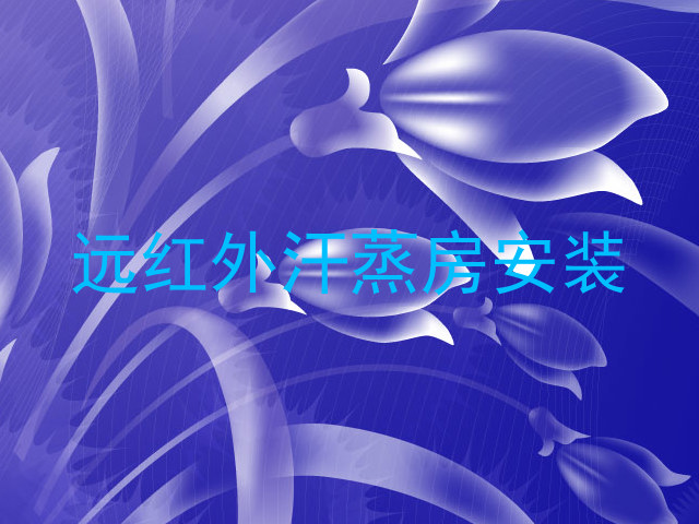 远红外汗蒸房安装