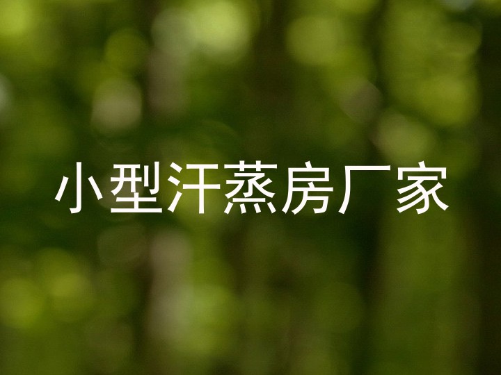 小型汗蒸房厂家