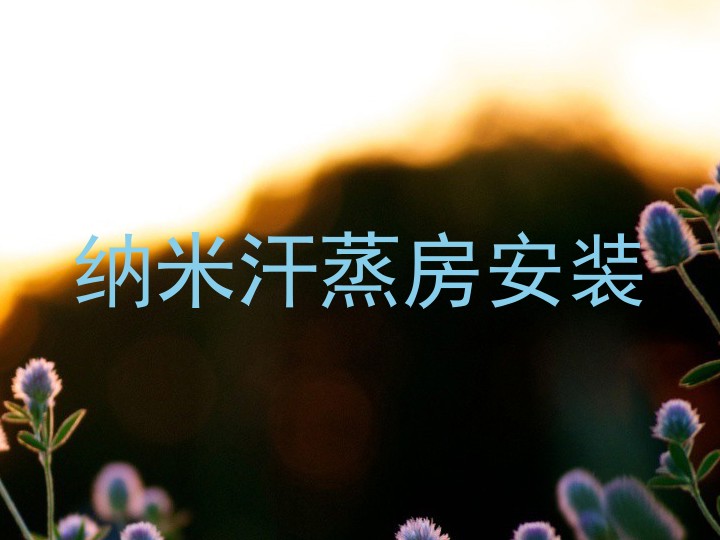 纳米汗蒸房安装